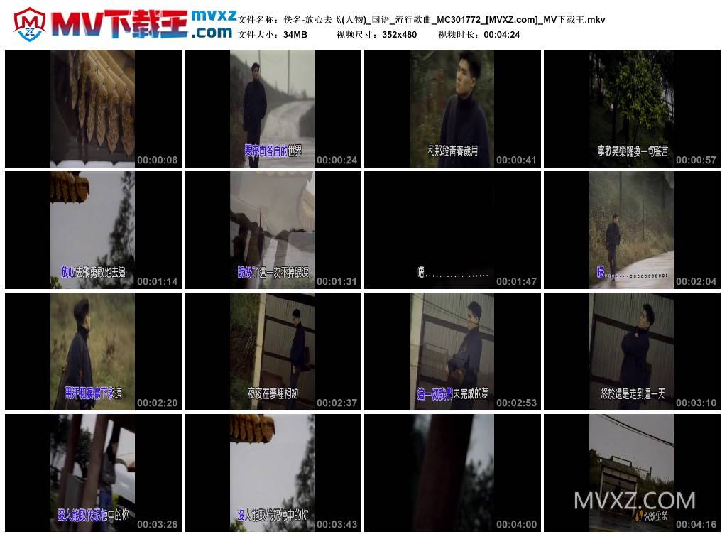 佚名-放心去飞(人物)_国语_流行歌曲_MC301772